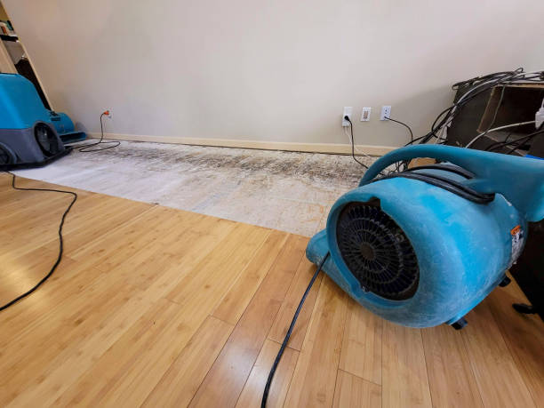 Professional Structural Drying technician working in West Baldwin, ME